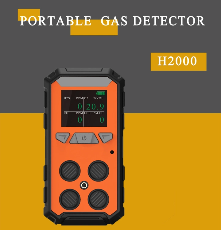 Portable Gas Detector H2000 for Ex, O2, Co, Toxic Gas